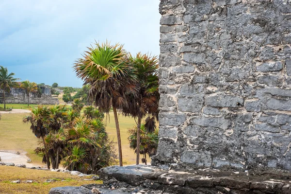 Tulumruiner i Mexiko — Stockfoto