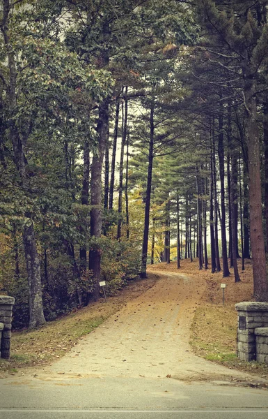 Marzycielski chodnik w lesie ogrodzony — Zdjęcie stockowe