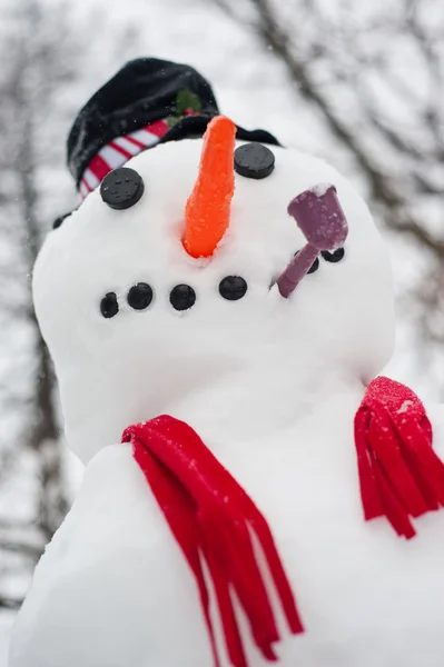 Snowman — Stock Photo, Image