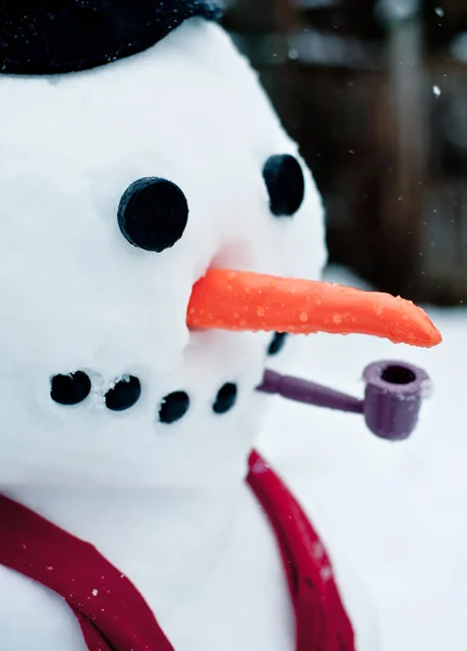 Cara de muñeco de nieve —  Fotos de Stock