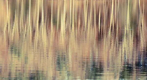 Reflexion von Bäumen im Wasser — Stockfoto