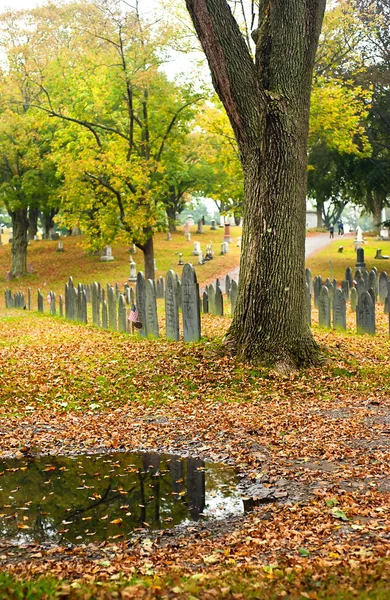Sonbahar mezarlığı — Stok fotoğraf