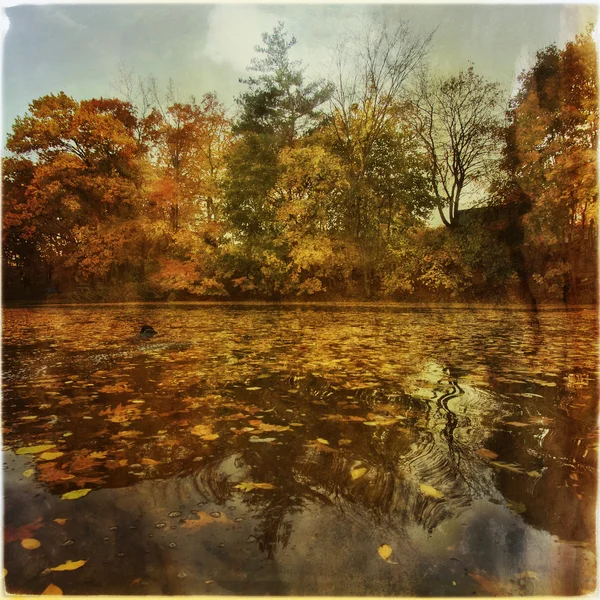 Paesaggio autunnale dall'acqua — Foto Stock