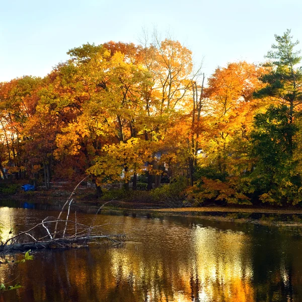 Herfst landschap van water — Stockfoto