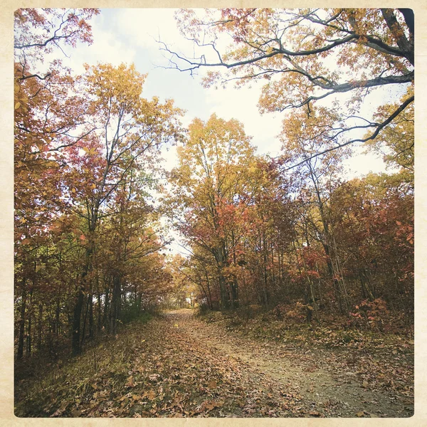 Sentier en automne, style instagram — Photo