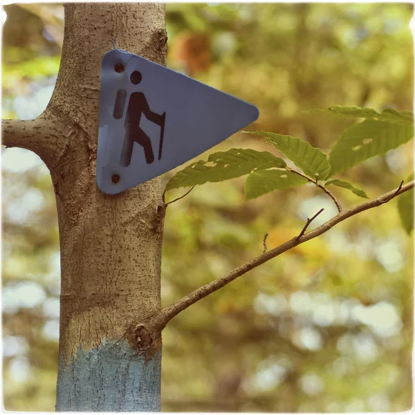 Marqueur de sentier de randonnée sur arbre en forêt — Photo