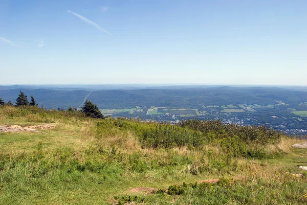 View from Mount Greylock — Stock Photo, Image