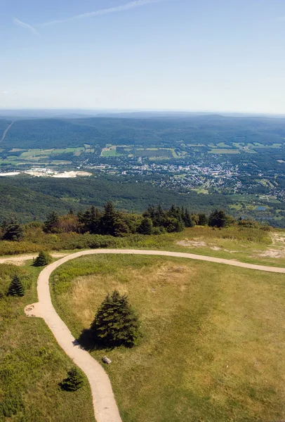 Visa från veteraner war memorial tower — Stockfoto