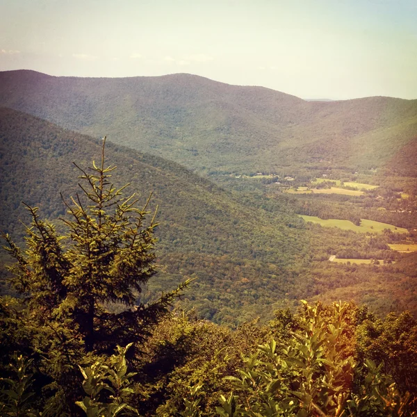 Utsikt från berget greylock — Stockfoto