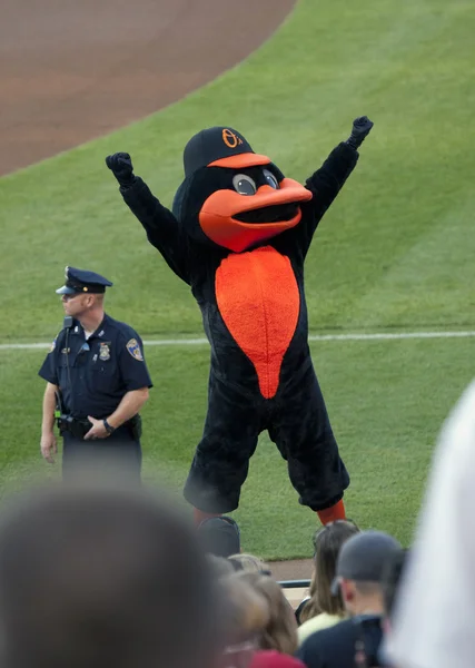 Oriole's team mascot, the Oriole Bird — Stock Photo, Image