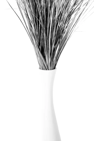 Herbe en vase blanc — Photo