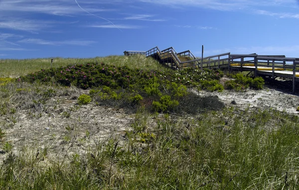 Staircase leading to beach — Stock Photo, Image