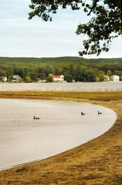 Lado lago — Foto de Stock