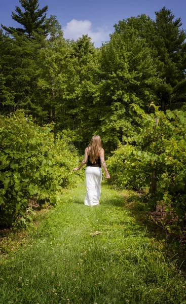 Woman walking away in vineyard