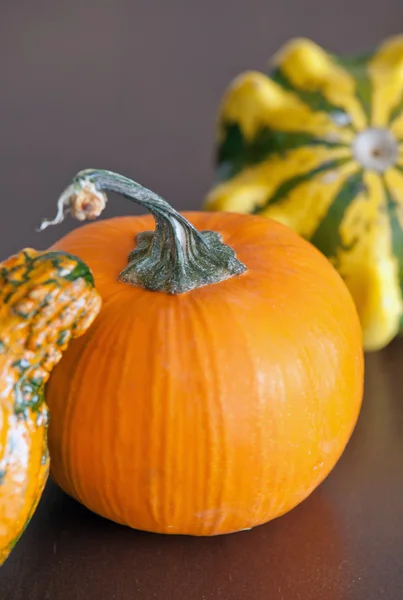 Autumn still life Stock Image