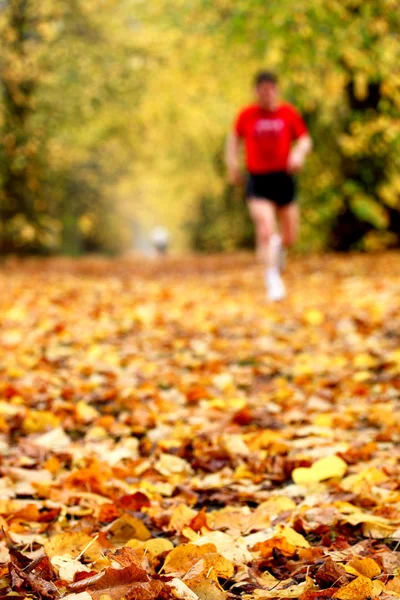 Herfst in het park — Stockfoto