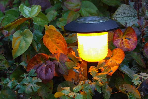 Солнечная лампа в саду — стоковое фото