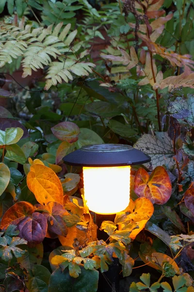 Solar lighting in garden — Stock Photo, Image