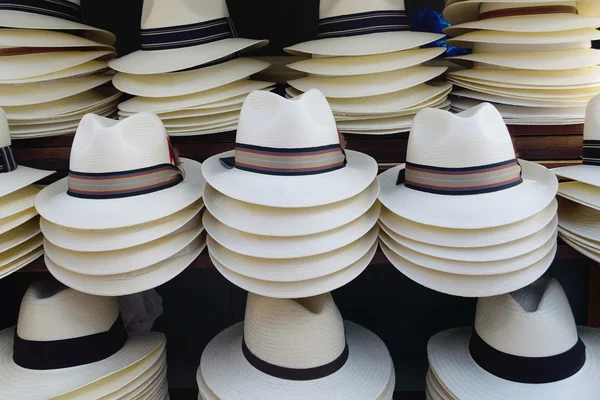 Group of summer hats — Stock Photo, Image