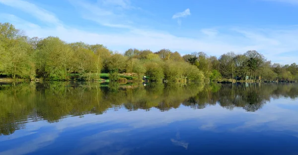 Forest reflected on a lake — Stock Photo, Image