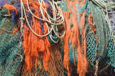 renkli balık ağlarına