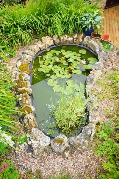 Pond in garden — Stock Photo, Image