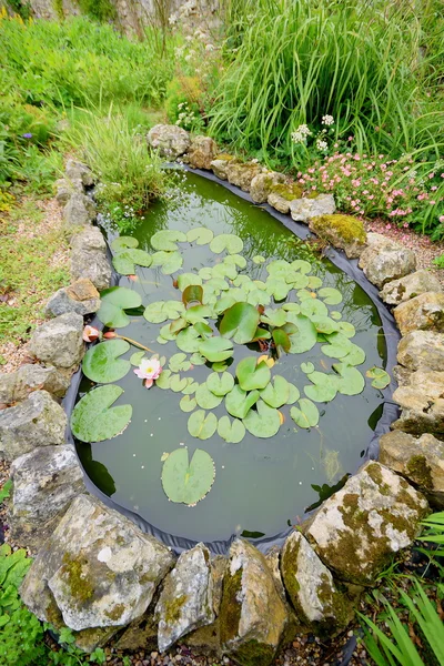 庭の池 — ストック写真