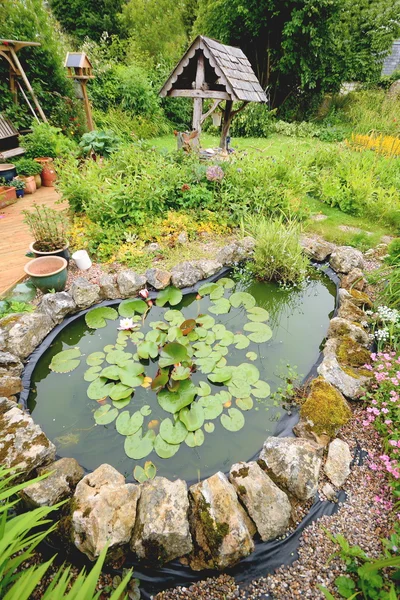 Pond in garden — Stock Photo, Image
