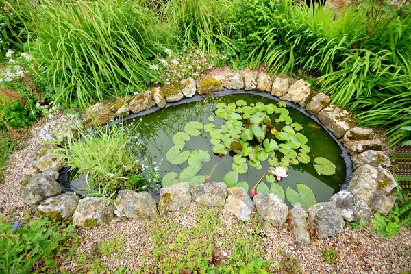 Pond in garden — Stock Photo, Image