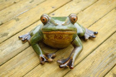 Bahçe Dekorasyon olarak kurbağa