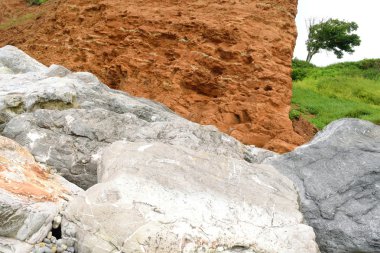 Devon'da Jurassic Coast