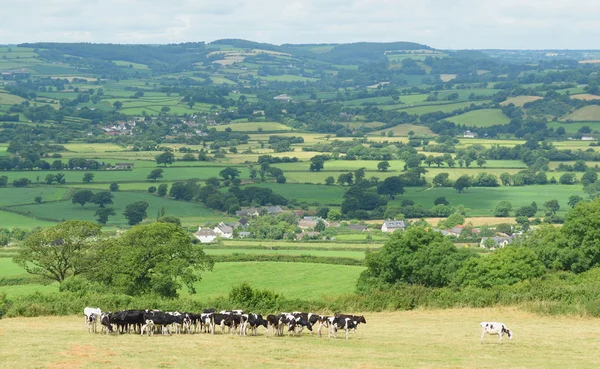 AXE valley i Devon — Stockfoto