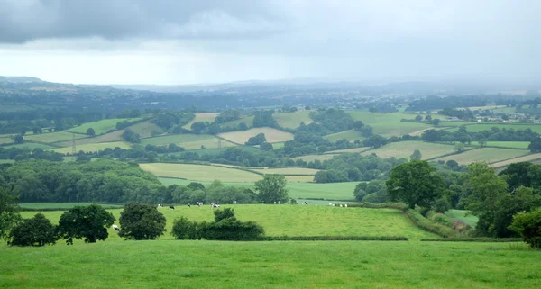 Paysage dans le Devon — Photo