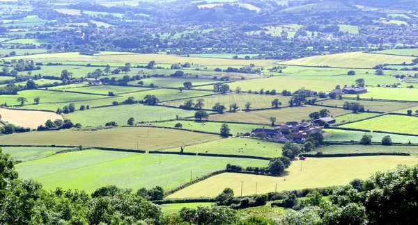 Vallei van de bijl in Devon — Stockfoto