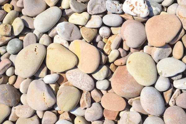 Stones on a pebble beach — Stock Photo, Image