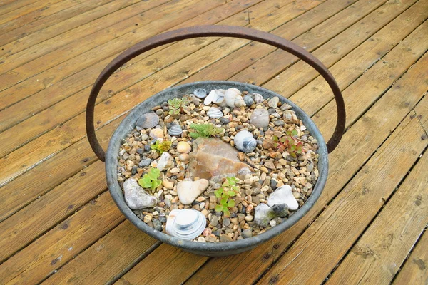 Garden pot on a wooden patio — Stock Photo, Image