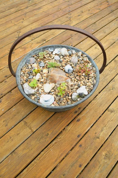 Garden pot on a wooden patio — Stock Photo, Image