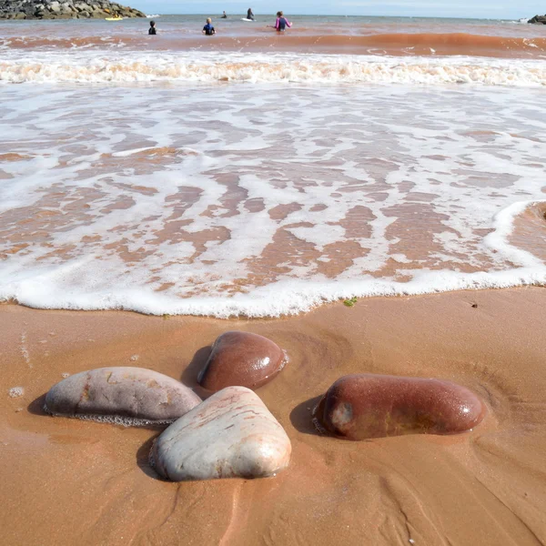 Playa durante la marea baja — Foto de Stock