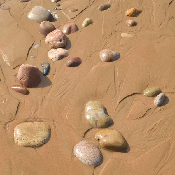 Playa durante la marea baja — Foto de Stock