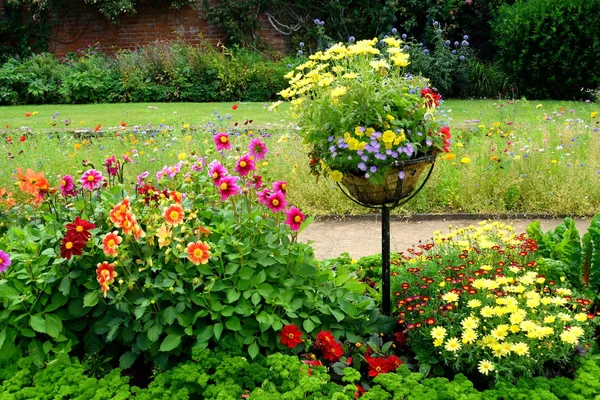 Prachtige tuin in bloei — Stockfoto