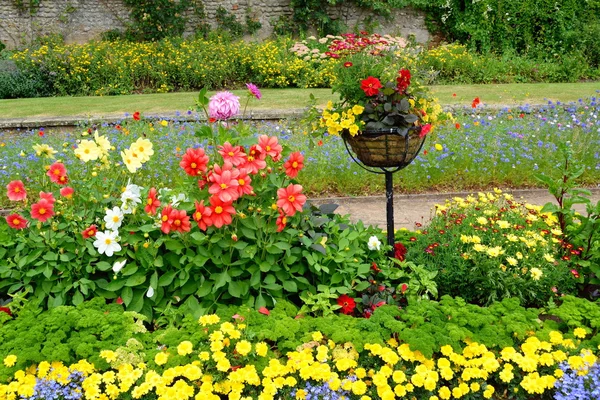 Красивий сад у цвітіння — стокове фото
