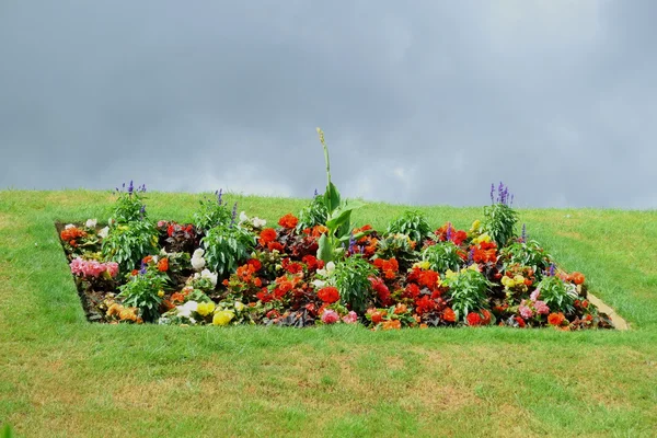 Flowerbed tepenin üst kısmında — Stok fotoğraf