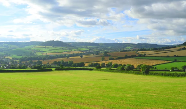 Terras agrícolas em East Devon — Fotografia de Stock