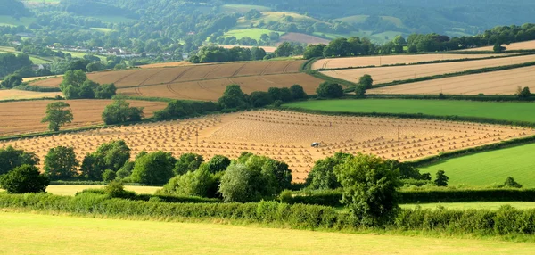 Terras agrícolas em East Devon — Fotografia de Stock