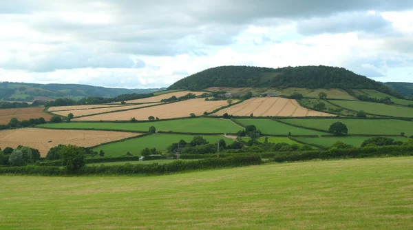 Terras agrícolas em East Devon — Fotografia de Stock