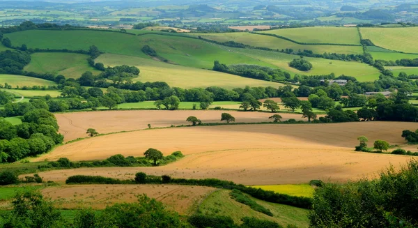 Güzel tarım arazileri manzara — Stok fotoğraf
