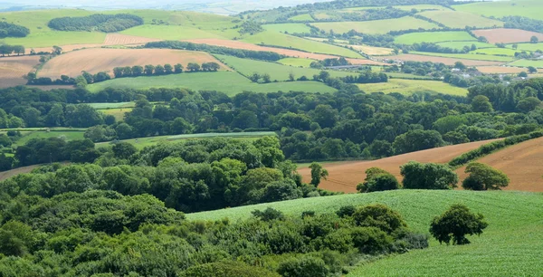 Beau paysage agricole — Photo