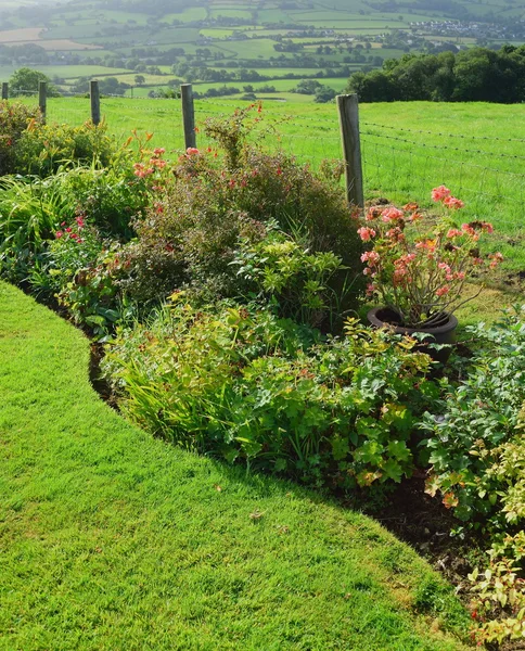 Tuin naast landbouwgrond — Stockfoto