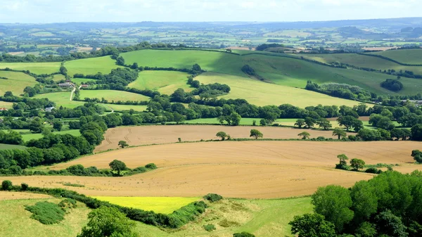 Schöne Ackerland-Landschaft Stockfoto