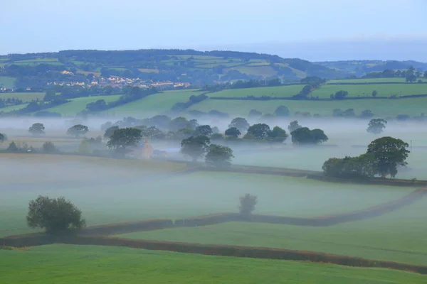 Ackerland Axe Valley Devon Nebligen Morgen — Stockfoto